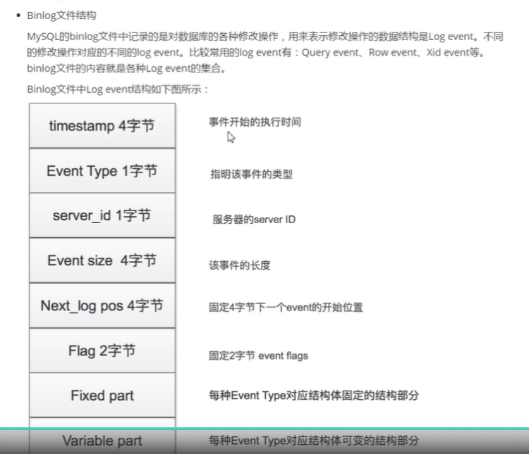 binLog文件结构