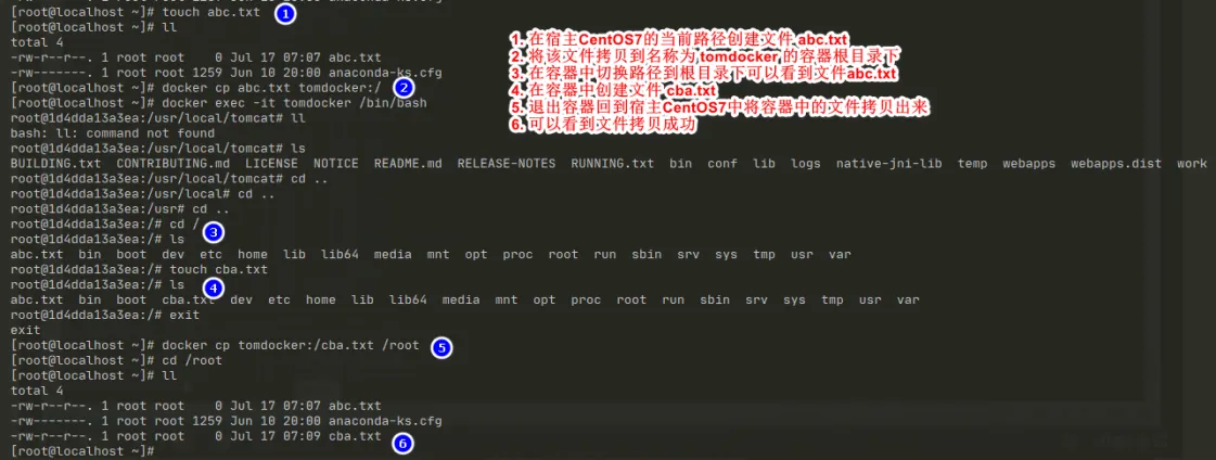 宿主机与docker容器间拷贝文件.png