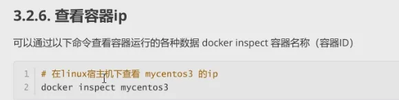 查看容器IP.png