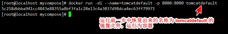 运行恢复出来的镜像文件.png
